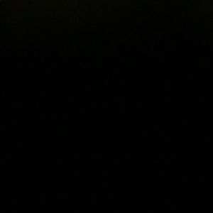 Meet your Posher, Ladarius